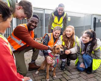 volunteers-at-dog-shelter